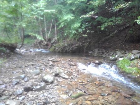 沢でイワナ釣り